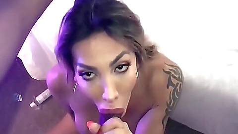 Blackbracket Gorgeous Tranny Pov Blowjob 720p 14